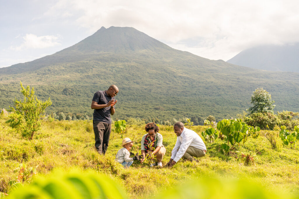 Volcanoes National Park Rwanda