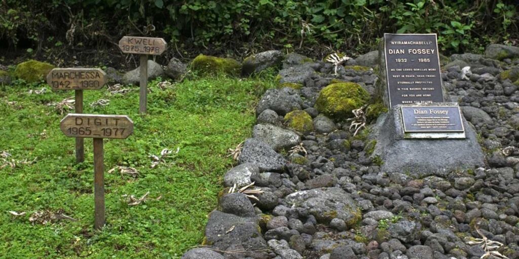 Hiking Dian Fossey Tomb - Rwanda Cultural Safaris