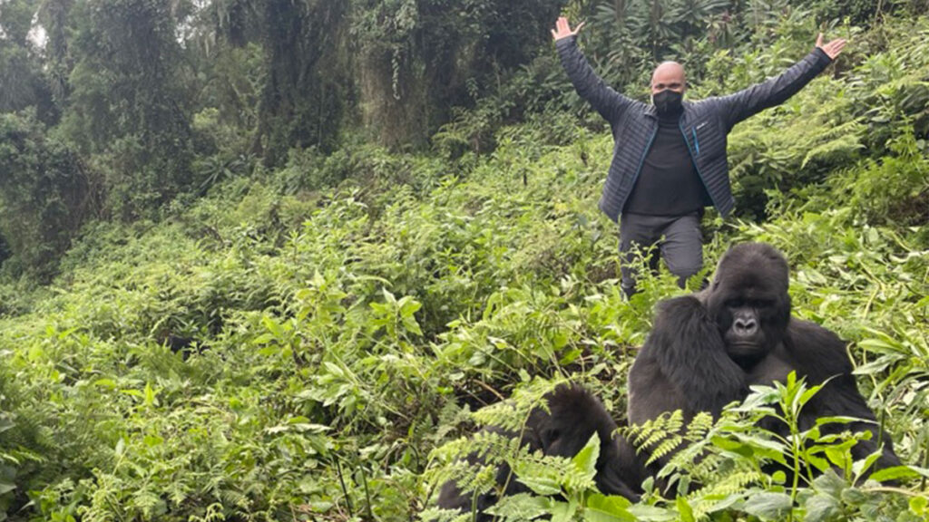 How Does it Feel to Trek Gorillas in Volcanoes National Park - Rwanda Gorilla Tours