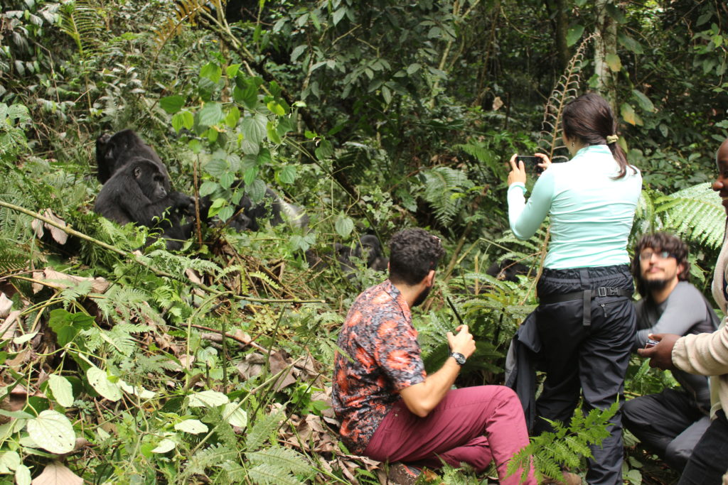 5 Days Rwanda Gorilla Trekking Safari