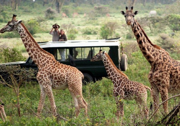  3 Days Akagera National Park Safari