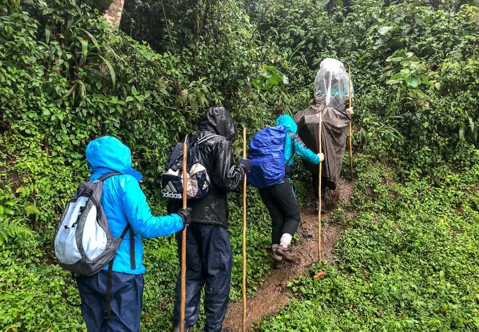 7 Days Rwanda Wildlife Safari