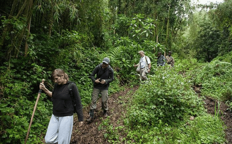 3 Days Gorillas and Dian Fossey Grave Hike 