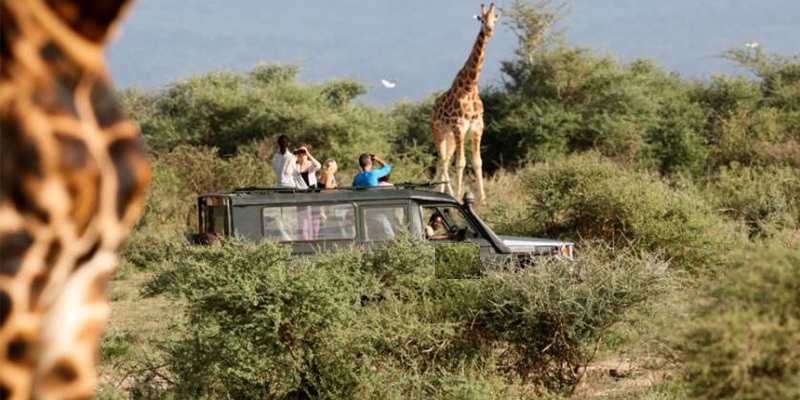 Akagera National Park