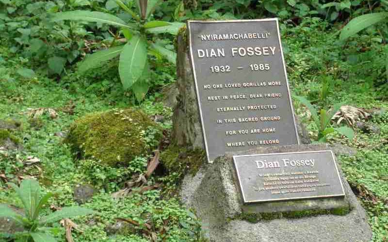 The Dian Fossey Grave Trek